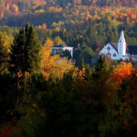 Your Cozy Cabin Retreat Saint-Remi-d'Amherst Exterior foto